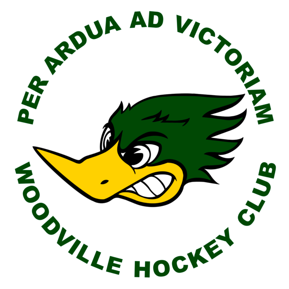 Image of hockey ground, shot from a drone, at the time of dusk.